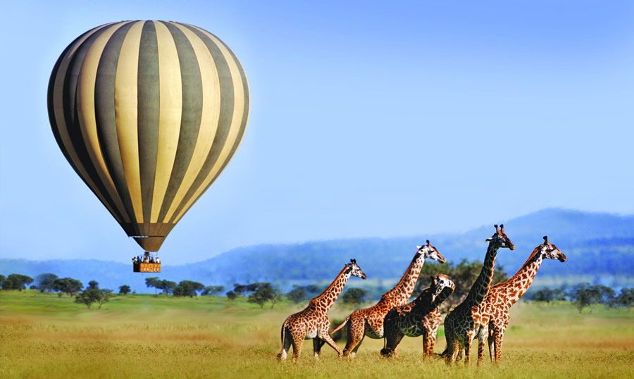 Great-Serengeti Migration