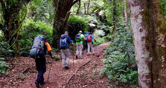 Mt Kilimanjaro 7 Days Machame