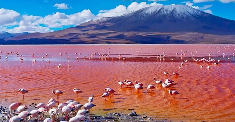 Ngorongoro crater