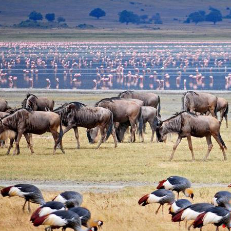 Lake Manyara National Park