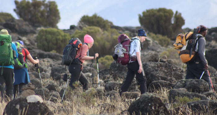 Mt Kilimanjaro 7 Days Machame