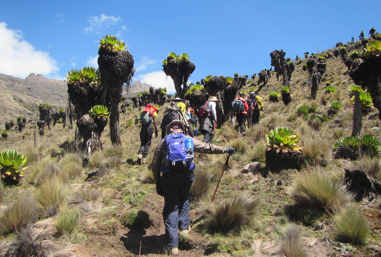 Climbing Kenya