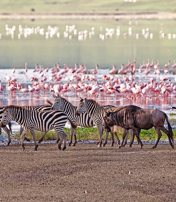 Lake Manyara