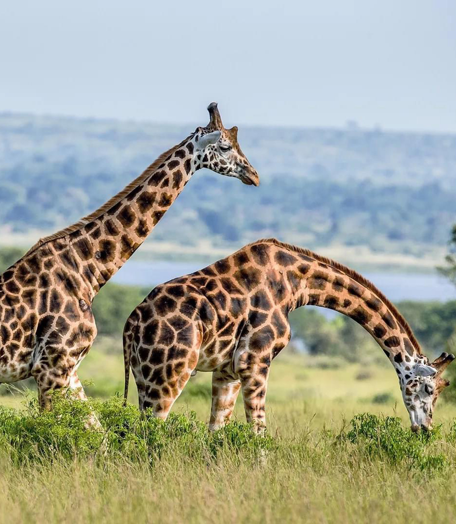 Arusha National Park