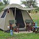 Camping Safari