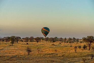 Safari in Tanzania