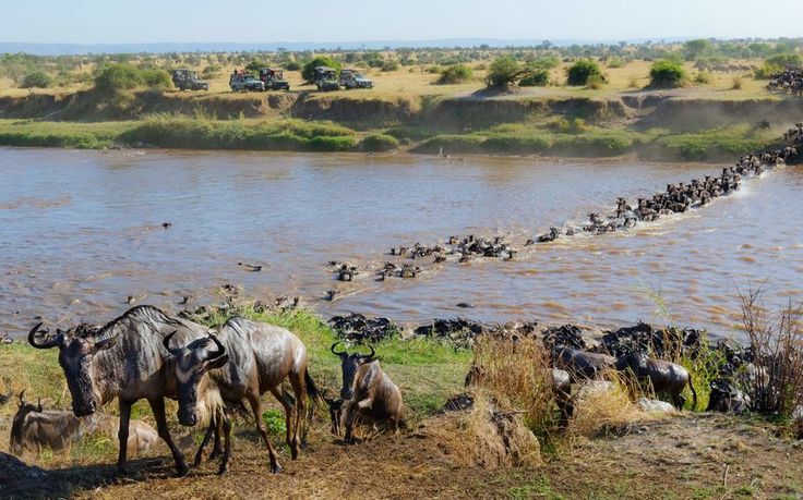 Northern Serengeti Camp