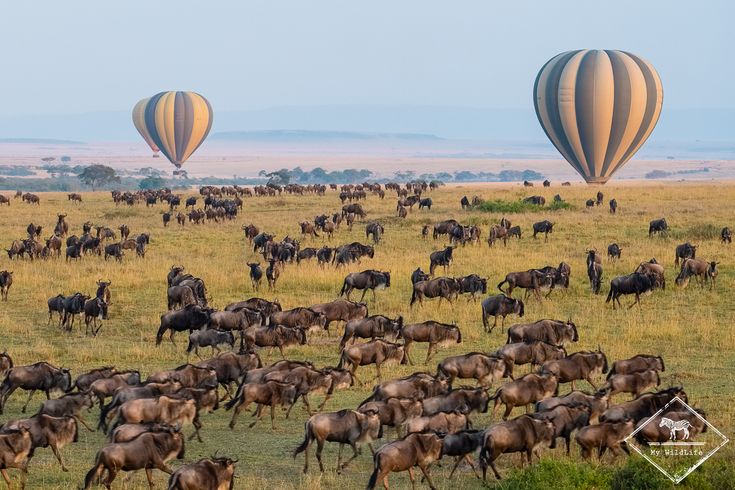 Eastern Serengeti Lodge