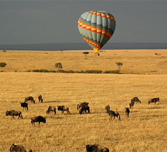 Tanzania-Safari pics