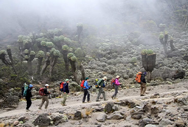 Mt Kilimanjaro 6 Days Machame