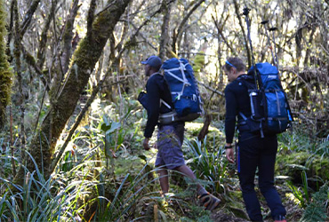 Mt Kilimanjaro 7 Days Machame