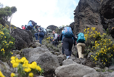 Climbing Kilimanjaro