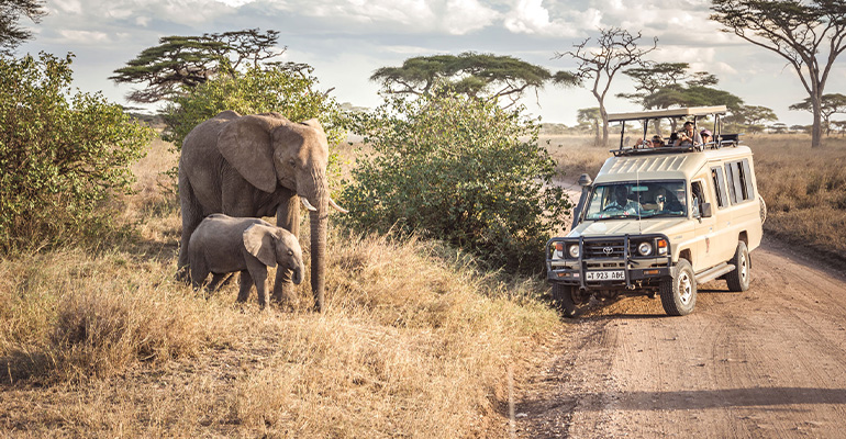 Arusha NP Day Trip